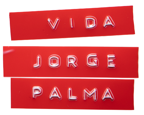 Vida Jorge Palma